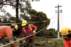 Overvoltage or electrical spikes are not just caused by lightning strikes – more common are surges resulting from vehicles hitting power poles, weather damage to lines as well surges generated within the boundaries of industrial electrical systems